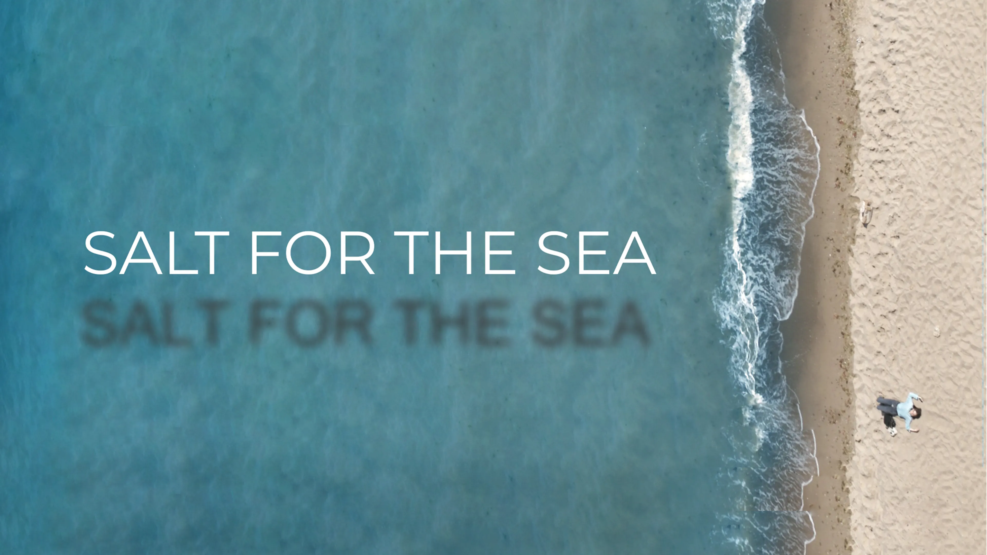 Salt for the Sea poster